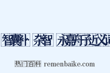 智囊补·杂智·永嘉舟子近义词是什么意思的图片